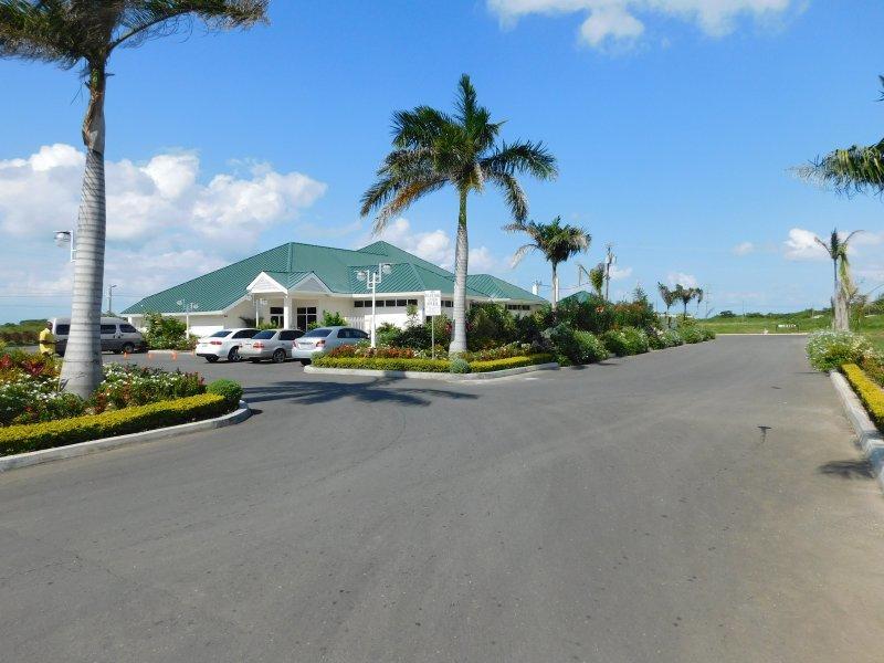 Ocho Rios Under The Palms Βίλα Εξωτερικό φωτογραφία