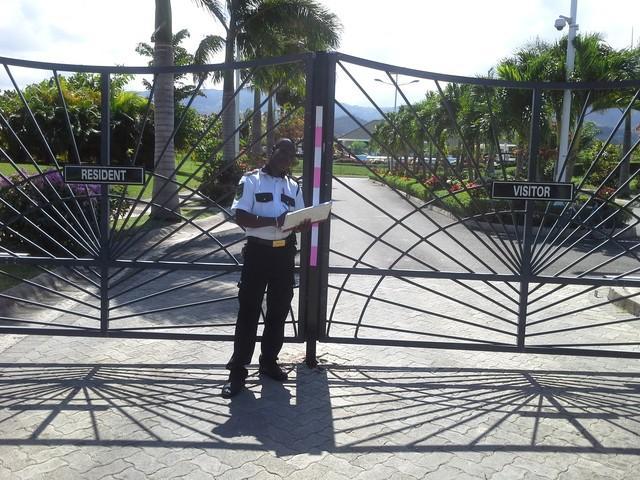 Ocho Rios Under The Palms Βίλα Εξωτερικό φωτογραφία