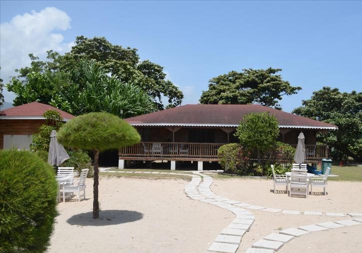 Ocho Rios Under The Palms Βίλα Εξωτερικό φωτογραφία