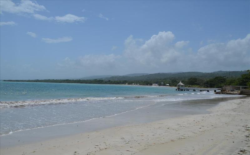Ocho Rios Under The Palms Βίλα Εξωτερικό φωτογραφία